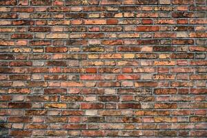 Brick wall texture background photo