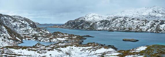 Panorama of norwegian fjord, Lofoten islands, Norway photo