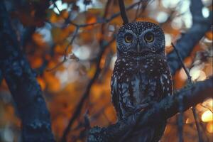 AI generated Beautiful owl sitting on a tree branch in the autumn forest photo