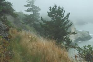 AI generated coastal rainy landscape, foggy morning on a steep bank, blurred background photo