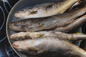 congelado navaga pescado en un cuenco en el cocina foto