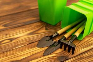 A collection of miniature gardening tools, including shovels, rakes and pots for seedlings photo