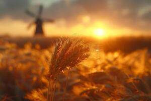 ai generado orejas de dorado trigo y un molino. hermosa natural paisaje a puesta de sol. un campo con trigo foto