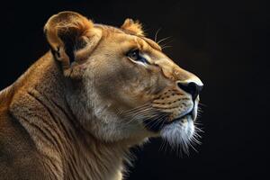 AI generated Portrait of a lioness in profile on a black background photo