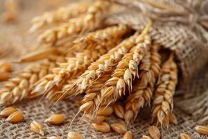 AI generated The ears of wheat are on the table. The harvested wheat crop photo