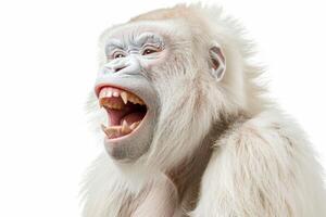 AI generated A white screaming monkey highlighted on a white background photo