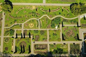 Top view of the spring Minsk Botanical Garden. Belarus photo