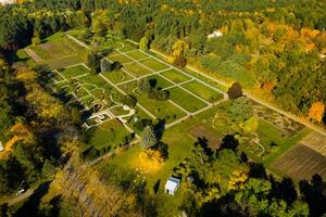 Top view of the autumn Minsk Botanical Garden. Belarus photo