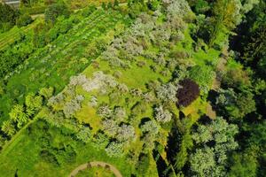 Top view of the spring Minsk Botanical Garden. Belarus photo