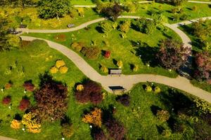 Top view of the autumn Minsk Botanical Garden. Belarus photo