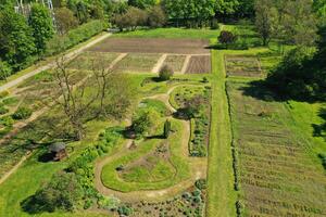 Top view of the spring Minsk Botanical Garden. Belarus photo