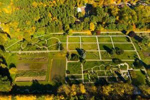 Top view of the autumn Minsk Botanical Garden. Belarus photo