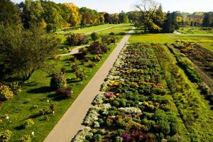 Top view of the autumn Minsk Botanical Garden. Belarus photo