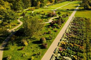 Top view of the autumn Minsk Botanical Garden. Belarus photo