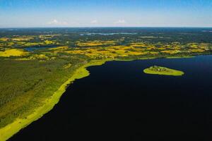 parte superior ver de lago conducir en el braslav lagos nacional parque, el más hermosa lagos en bielorrusia.an isla en el lago.belarús. foto