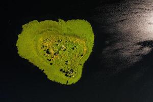 Top view of lake Drivyaty in the Braslav lakes National Park, the most beautiful lakes in Belarus.An island in the lake.Belarus. photo