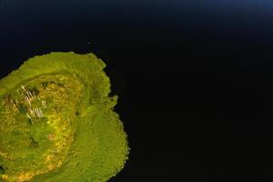 Top view of lake Drivyaty in the Braslav lakes National Park, the most beautiful lakes in Belarus.An island in the lake.Belarus. photo