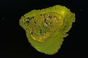 Top view of lake Drivyaty in the Braslav lakes National Park, the most beautiful lakes in Belarus.An island in the lake.Belarus. photo