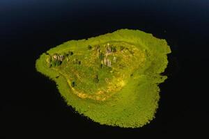 Top view of lake Drivyaty in the Braslav lakes National Park, the most beautiful lakes in Belarus.An island in the lake.Belarus. photo