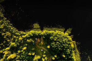 Top view of the tourist base and Bolta lake in the forest in the Braslav lakes National Park at dawn, the most beautiful places in the city of Belarus.An island in the lake.Belarus. photo