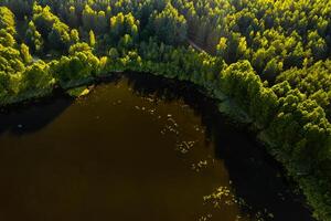 Top view of the lake Bolta in the forest in the Braslav lakes National Park, the most beautiful places in Belarus.An island in the lake.Belarus. photo