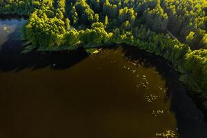 Top view of the lake Bolta in the forest in the Braslav lakes National Park, the most beautiful places in Belarus.An island in the lake.Belarus. photo