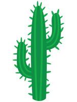 Cute hand drawn cactus. White background, isolate. vector