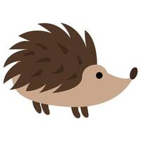 Cute hand drawn hedgehog. White background, isolate. vector