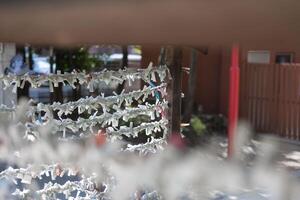 A fortune telling slip at Tomioka Shrine closeup photo