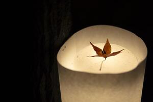 An illuminated red leaves in the light at the traditional garden at night in autumn photo