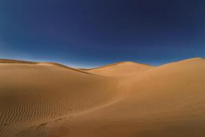 A panoramic sand dune of sahara desert at Mhamid el Ghizlane in Morocco wide shot photo