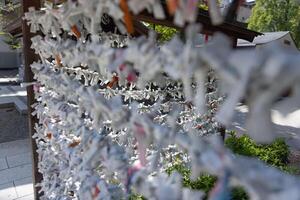 A fortune telling slip at Tomioka Shrine closeup photo