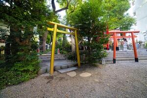 A traditional gate at Japanese Shrine photo