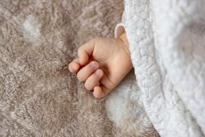 A right hand of sleeping asian baby on the carpet photo