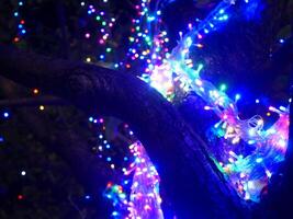 vistoso ligero bombillas Decorar el árbol en un oscuro noche. da un sensación de celebracion foto