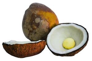 Coconuts, coconut shells and coconut meat on a white background photo