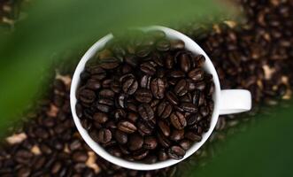 Natural coffee beans in a cup. Close up. Top view. Selective focus. photo