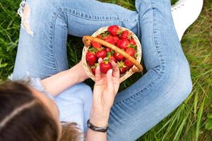 Young woman eating ripe juicy strawberries sitting on the grass outdoor. Healthy lifestyle concept. Top view. Selective focus. photo