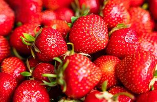 Ripe strawberries. Natural background. Close up. Selective focus. photo