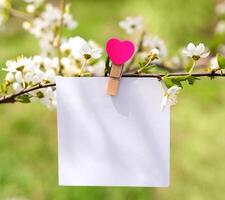 Spring composition with a message with a heart on a blossom branch. Card for Mother's Day and Valentine's day. Mockup. Copy space. Selective focus. photo