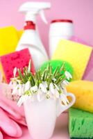 Spring flowers and and various detergents for cleaning the house on a pink background. Concept of spring cleaning. Close-up. Selective focus. photo