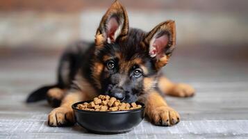 AI generated A small cute shepherd puppy near a bowl of food. AI Generated photo