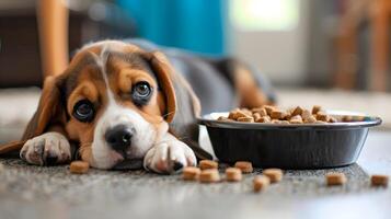 AI generated A small cute beagle puppy near a bowl of food. AI Generated photo