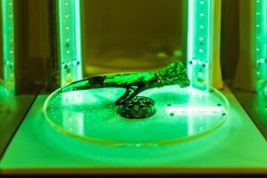 3d resin printing of a deer antler turning in a cure machine using UV light photo