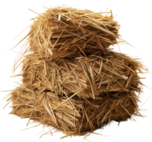 AI generated Professional image of haystack png