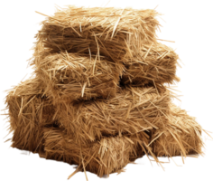 AI generated Professional image of haystack png