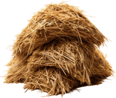 AI generated Professional image of haystack png