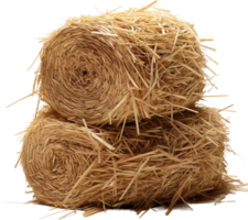 AI generated Professional image of haystack png