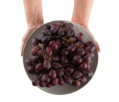 Hand holding plate with purple grapes and transparent background png