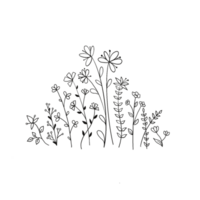 minimaal hand- getrokken wilde bloemen PNG